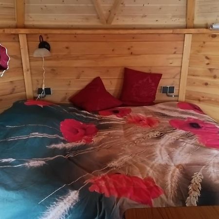 De Ganz Villa Grafhorst Ngoại thất bức ảnh
